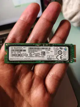 SSD NVME 256 BEKAS NORMAL