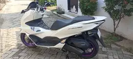 PCX 160 Tahun 2023 Pajak Panjang - Maulana Motor