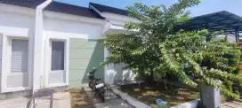 Over Kredit Cluster Tera Damai - Branta