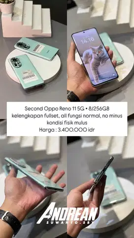 Second Oppo Reno 11 5G 8/256Gb