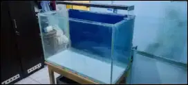 Aquarium Akuarium 80x40x50 kaca tebal 8mm + Lamp Hood