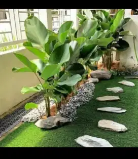Dekorasi taman dan trima pesanan rumput dan penanaman
