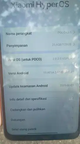 POCO C65 RAM 8/128