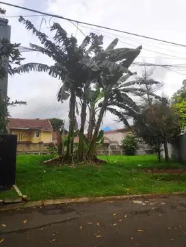 D jual kavling d BSD Nusa Loka Tangerang