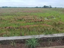 D jual kavling kormesil d pluit karang karya