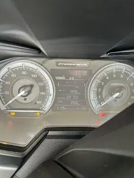 Honda Forza 250, 2023