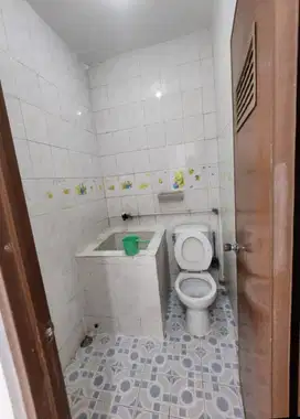 D jual rumah taman palem lestari