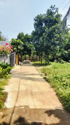 Dijual tanah murah pinggir jalan desa pengasinan