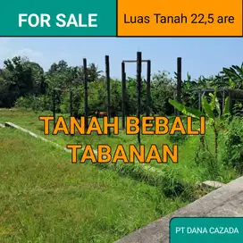 TANAH BEBALI TABANAN 22,5 are