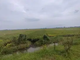 Tanah Kelurahan Randegan Kec Tanggulangin Kab Sidoarjo
