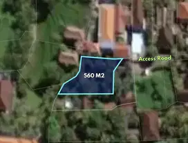 560 sqm Premium commercial land for sale in Mas, Ubud
