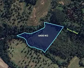 6400 SQM Exotic Land with walking distance to Balian Beach, Tabanan