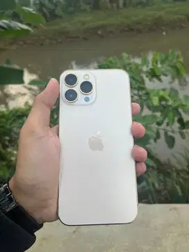 Iphone 13 PM 128 Inter
