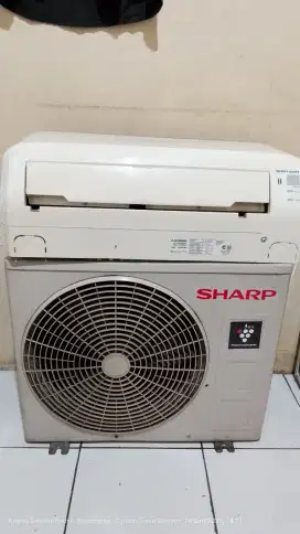 AC second 1/2 pk