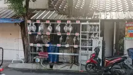 Jaga lapak ikan gabus dn belut