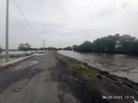 Tambak bandeng murah