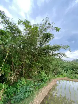TANAH SERTIFIKAT DI JUAL CEPAT DAN BU / TANAH LOZI / TANAH PURWAKARTA