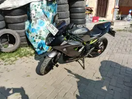 Kawasaki NINJA 250RR MONO 2018