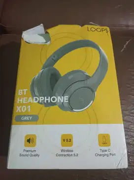 Headphone Loops