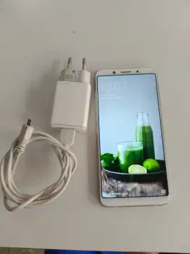 Oppo F5 Unit + Charger