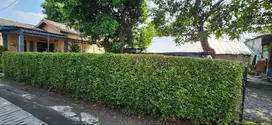 Dijual Tanah 749 m² tengah kota Solo