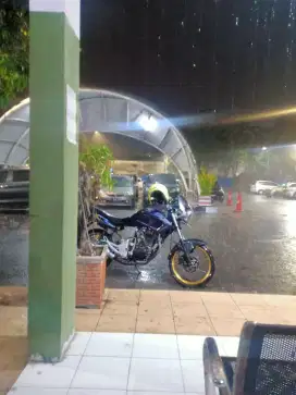 Honda Tiger Revo