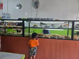 Lowongan pengasuh anak PP