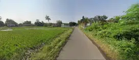 Promo Tanah Kavling Termurah Di Bogor 5 Menit IPB Dramaga