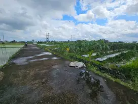 Tanah pantai kedungu tabanan