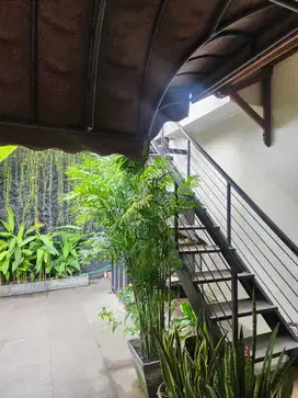 Rumah Minimalis Tropis Ampera