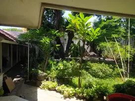 DIJUAL RUMAH MEWAH Jl. Trunojoyo, Surabaya Pusat