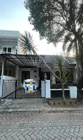 Disewakan Rumah 1 Lantai Sudah Renov Siap Huni di Alam Hijau Citraland