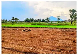 Terbaik Tanah Di Jogja Dekat SCH Jalan Magelang Sleman