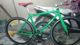 Fullbike fixie ALLOY. merk ELEMENT. Bambu