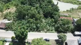 Dijual Tanah Di Citeras, Di Jalan Raya Rangkas Bitung - Lebak, Banten