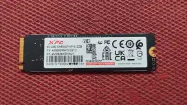SSD Nvme 512gb XPG (Sentinel 100%)