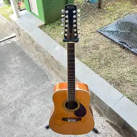 12 String Acoustic Guitar Adam Black S5-12