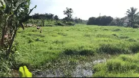 Dijual Tanah Di Desa Serdang Wetan, Legok - Tangerang, Banten