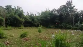 Dijual tanah lahan KEBON, SAWAH, KOLAM PEMANCINGAN, VILA