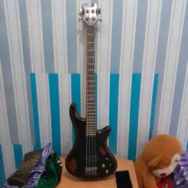 Bass schecter diamond series blaskso bass 0200946 Original