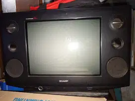 Sharp Alexander 20inci