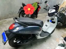 Scoopy fashion 2023
