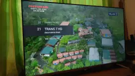 LED TV TCL 50 50A10