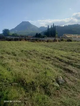 TANAH ISTIMEWA