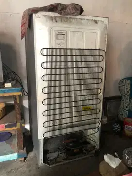 kulkas bekas murah