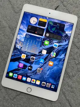 Ipad mini 5 64gb wifi cell ex ibox