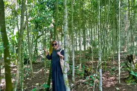 Tanah Kebun Manglit Desa Linggamulya Kabupaten Tasikmalaya