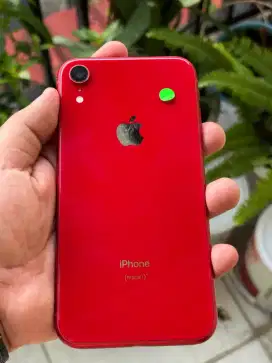 IPHONE XR 64GB INTER ALL OPERATOR FULLSET

- FACE ID ON
- ⁠FULLSET