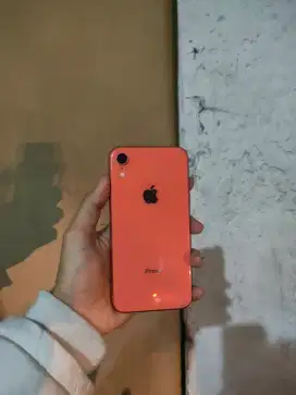 iPhone Xr 64gb inter
