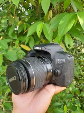 Kamera canon 800d lensa kit muluss